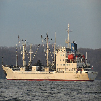 Foto_2