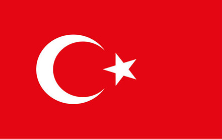 Türk Bayragi